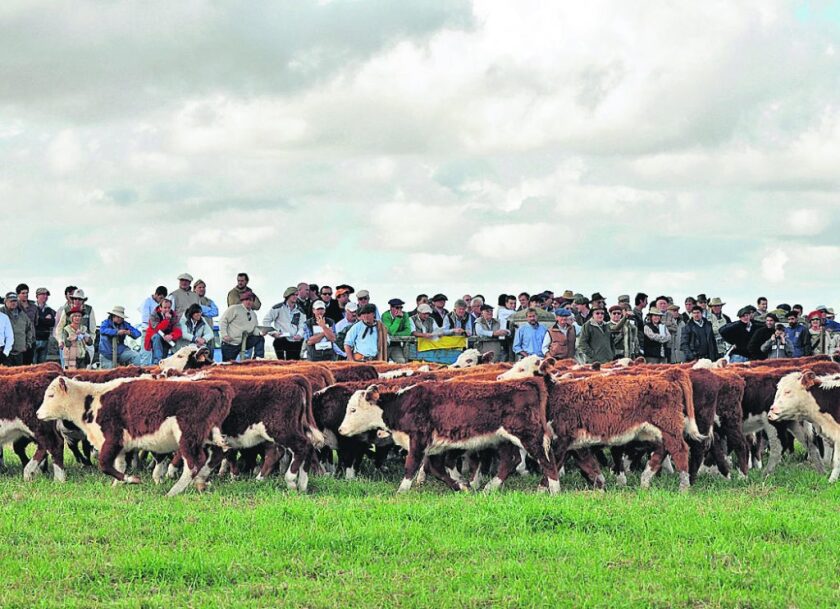 imagen-gira-hereford-1024x743.jpg