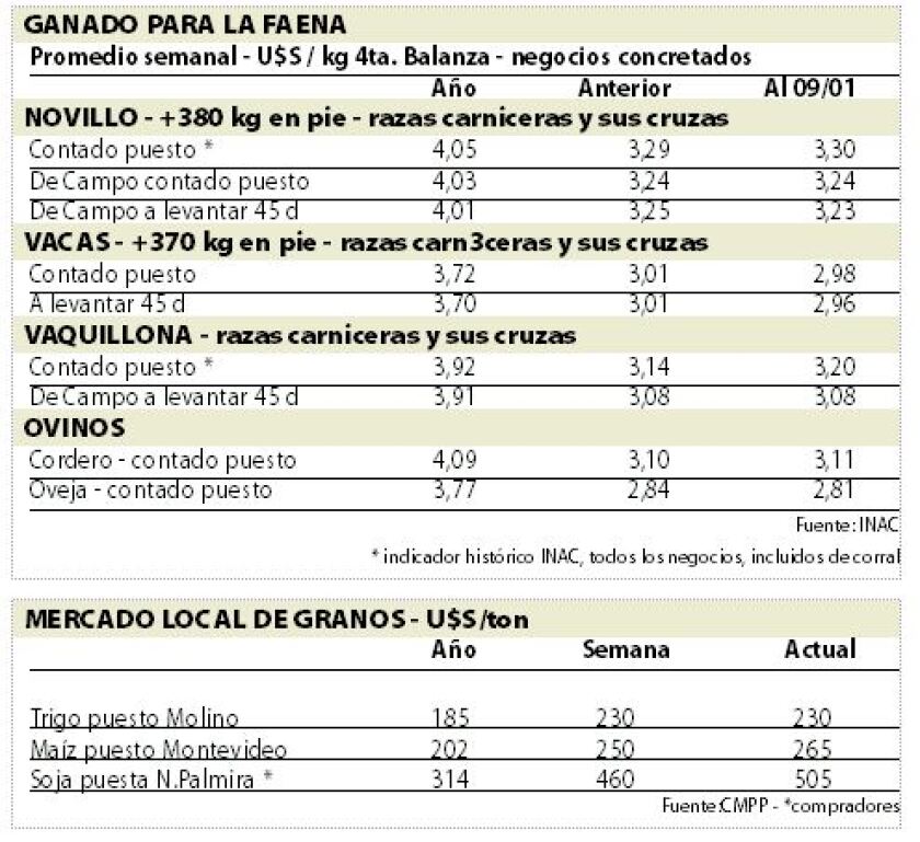 mercados.jpg