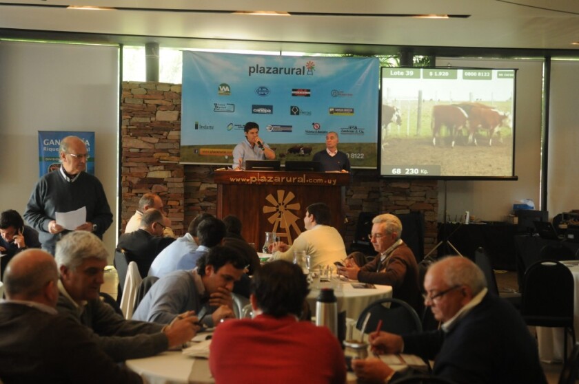 Remate de Plazarural