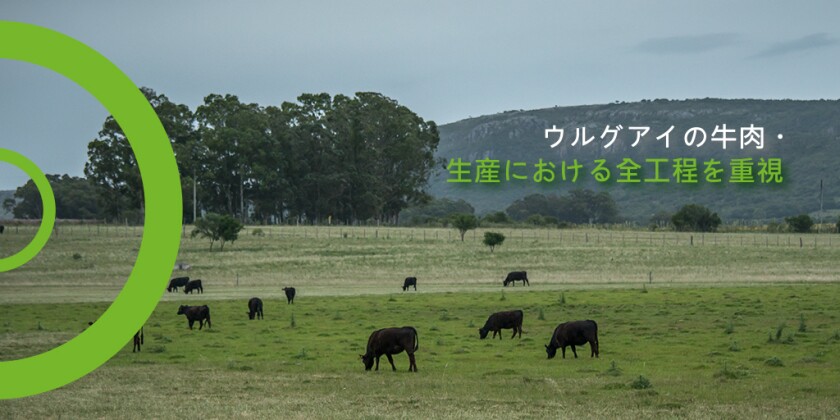 japonr.jpg