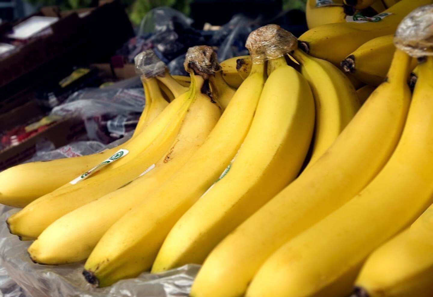Bananas.jpg