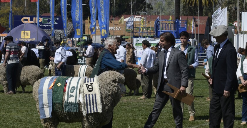 Cabañero de 80 años de La Lucha recibiendo el premio con el presidente Luis Lacalle Pou.