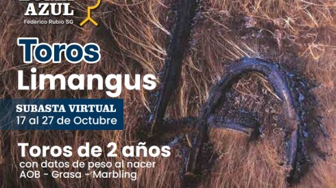 Foto previa Loma Azul Limangus.jpg