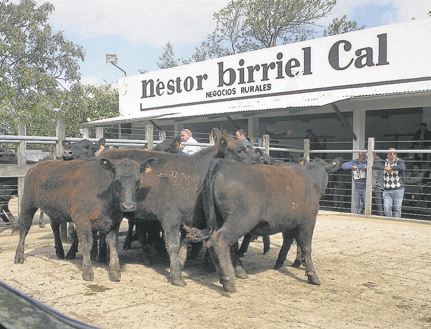 local-rocha.jpg