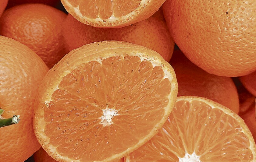 Citrus 4.jpg