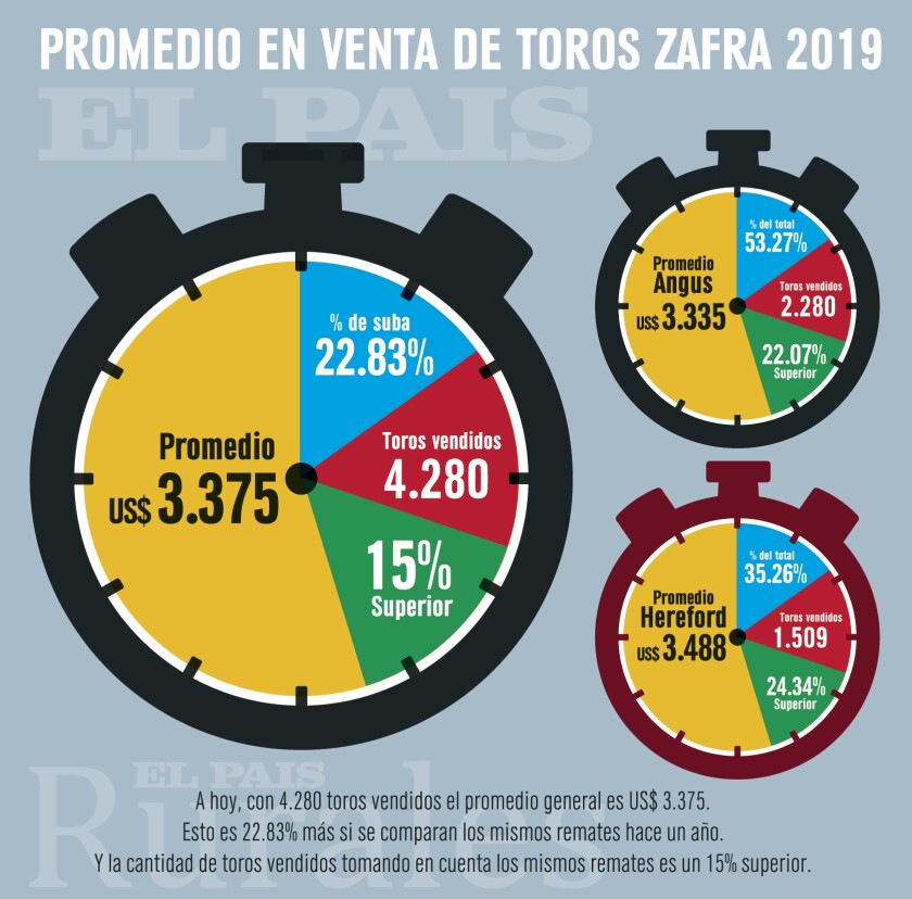 3x8-cronometro-toros-1.jpg