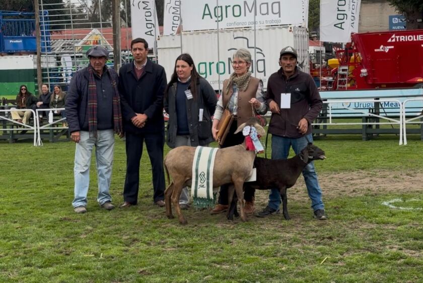 La Gran Campeona Santa Inés, otro logro para la joven cabaña King Ranch.