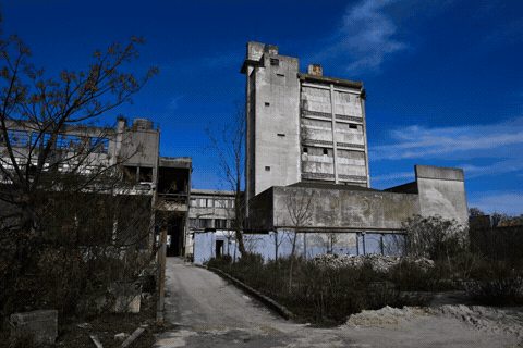 GIF Smagni