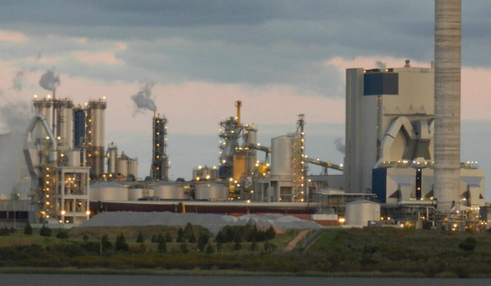 UPM: para construir su segunda planta una de sus condiciones es que se recategorice el suelo donde podría instalarse. Foto: Daniel Rojas