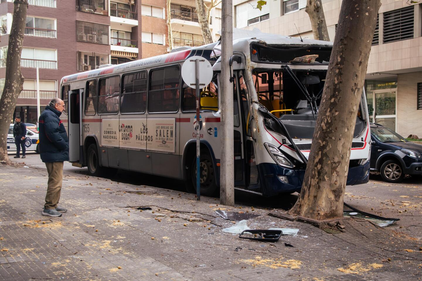 Ómnibus de la línea 104 impactó contra un árbol en Pocitos