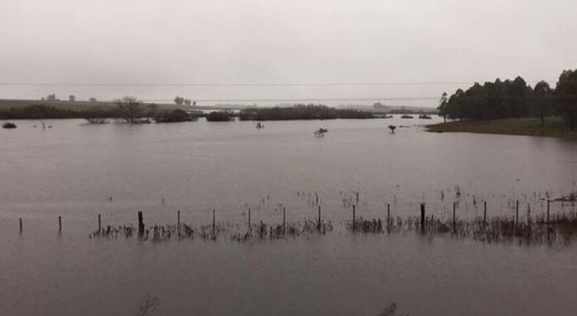 CMYTdVNWcAAPZTl-e1439567781190