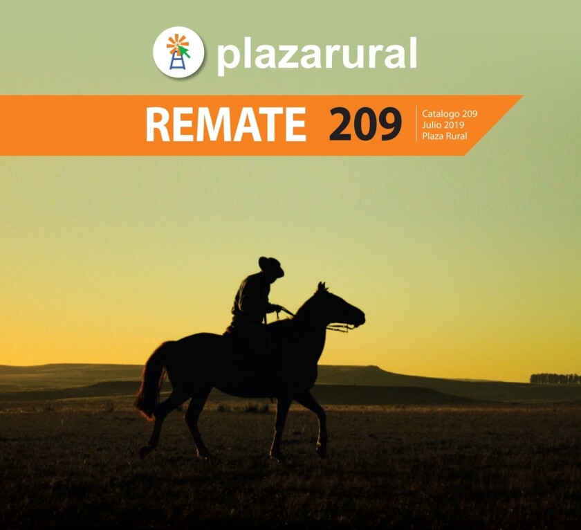 plaza-julio.jpg
