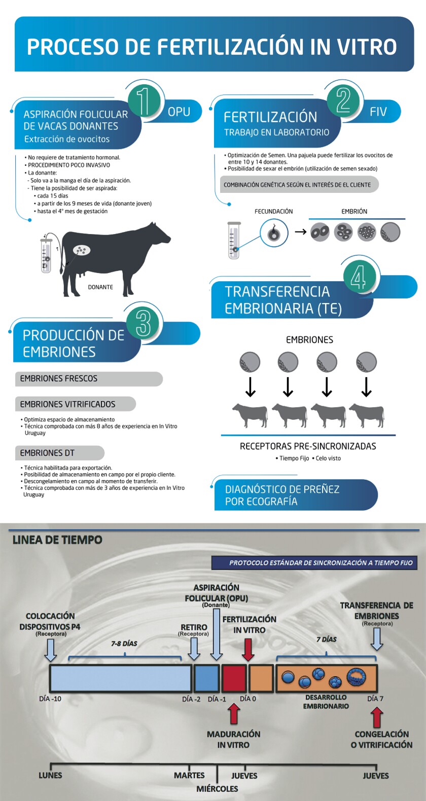 imagen-3x15-in-vitro.jpg