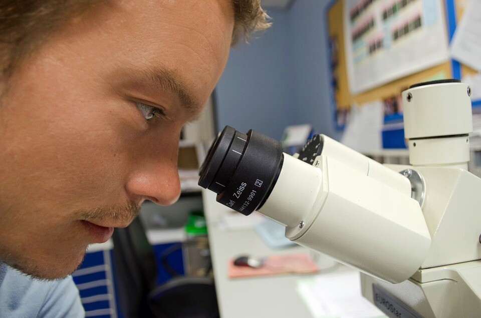 Científico mirando por el microscopio. Foto: Pixabay