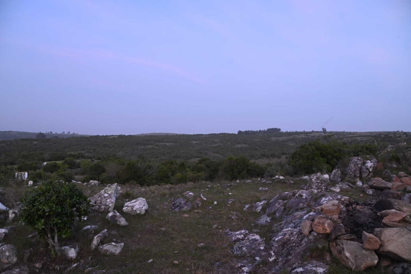Nube de polvo