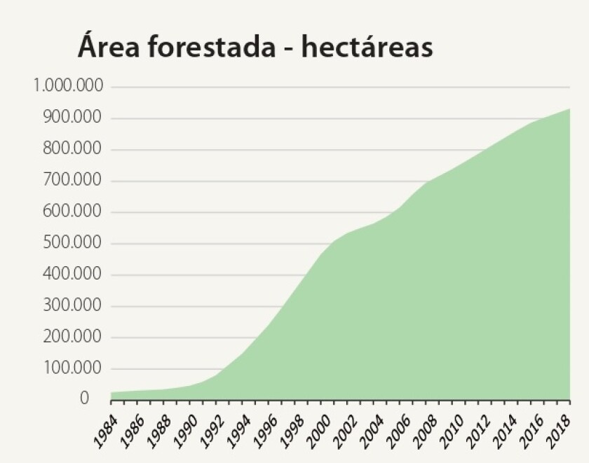 areas-forestadas.jpg