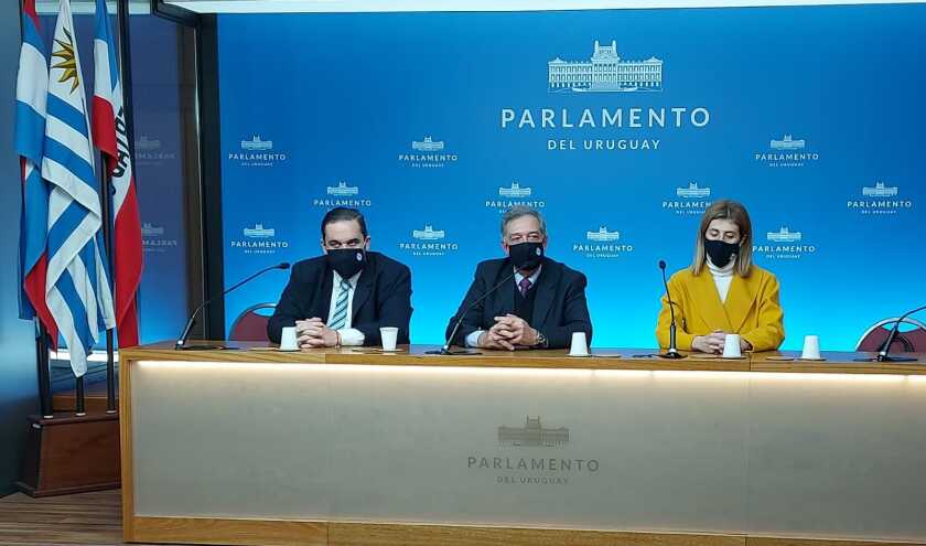 mgap-en-parlamento.jpeg