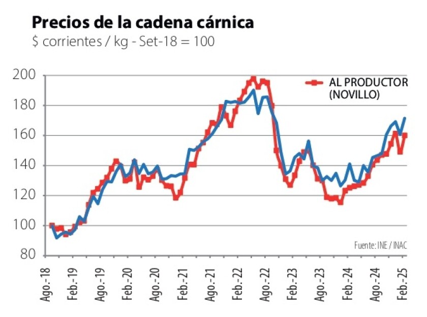 2 Precios en la cadena cárnica.jpg