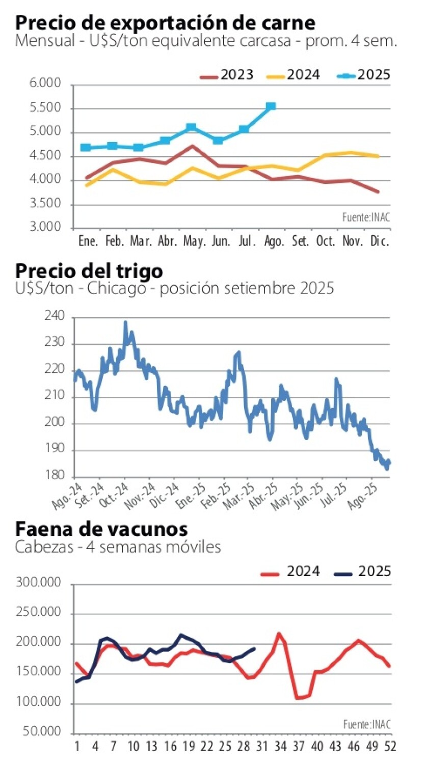 Gráficas NcL.jpg