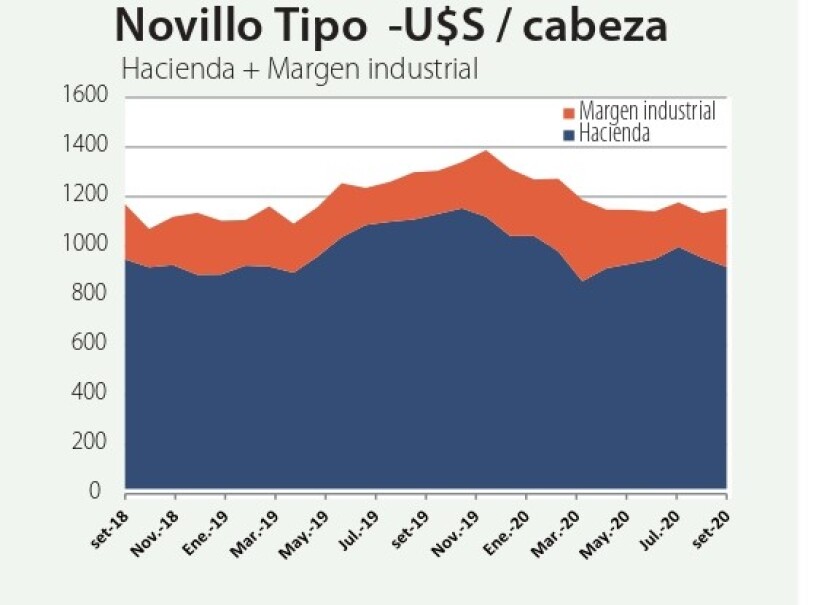 novillo-1.jpg