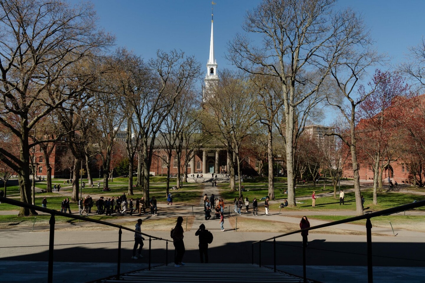 Universidad de Harvard.