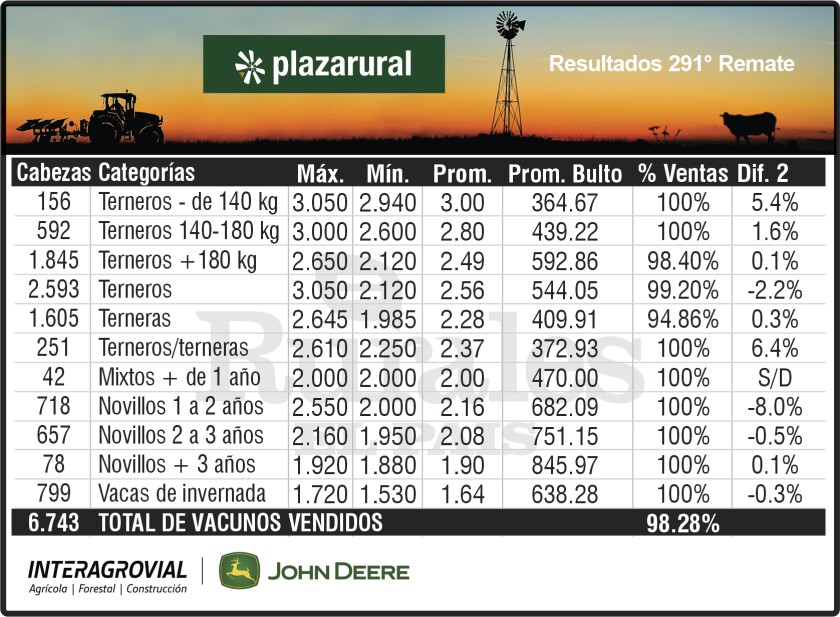 3x6 Plaza 291.jpg