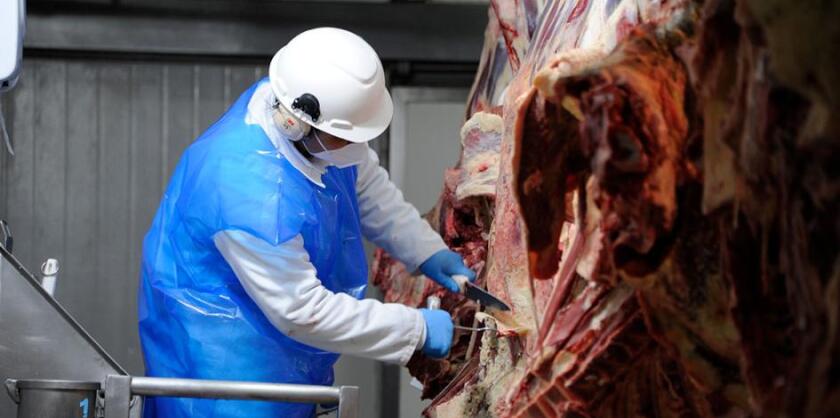 Frigorífico, carne vacuna