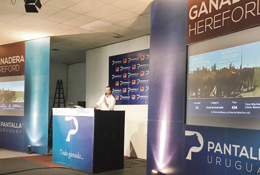 imagen-ganadera-hereford-nov-18.jpg