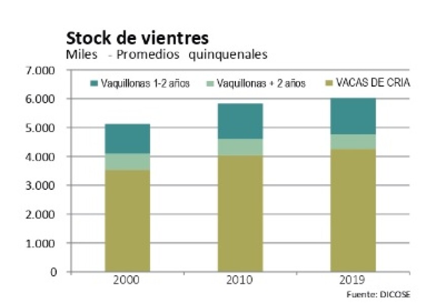 stock-de-vientres.jpg