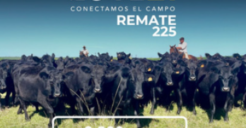 Remate Lote 21