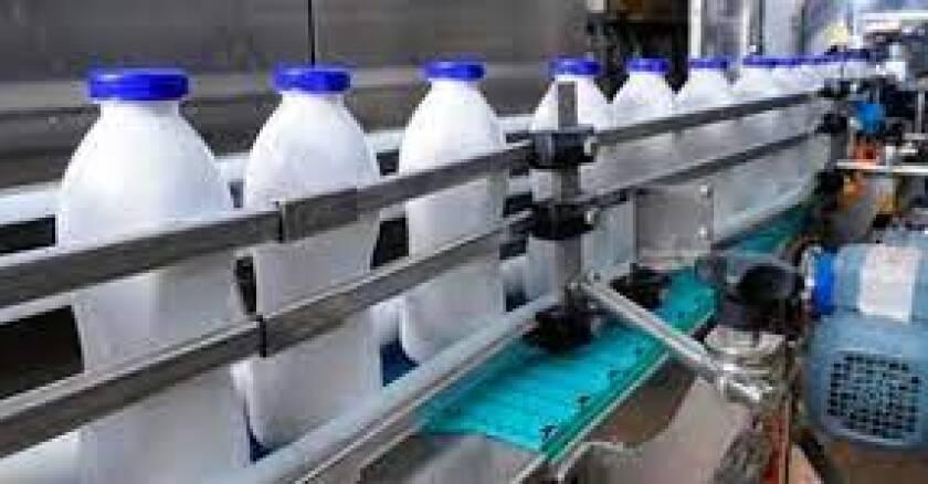 Envasado de leche.