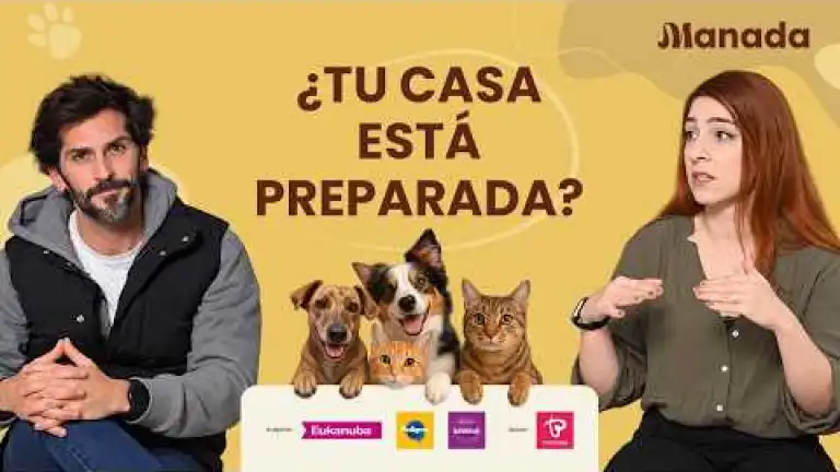 Cómo adaptar tu casa para perros y gatos: espacios, cuidados y convivencia