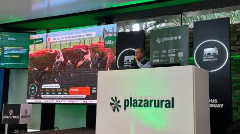 WhatsApp Image 2025-09-23 at 19.18.51.jpeg