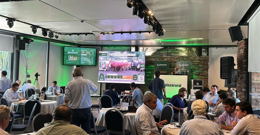 Remate 299 de Plaza Rural