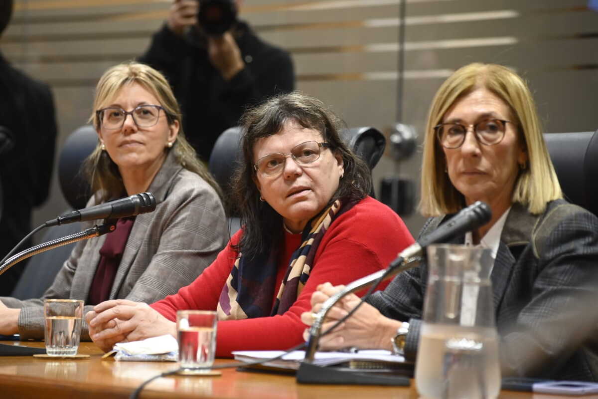 Mónica Ferrero en comisión de Diputados.