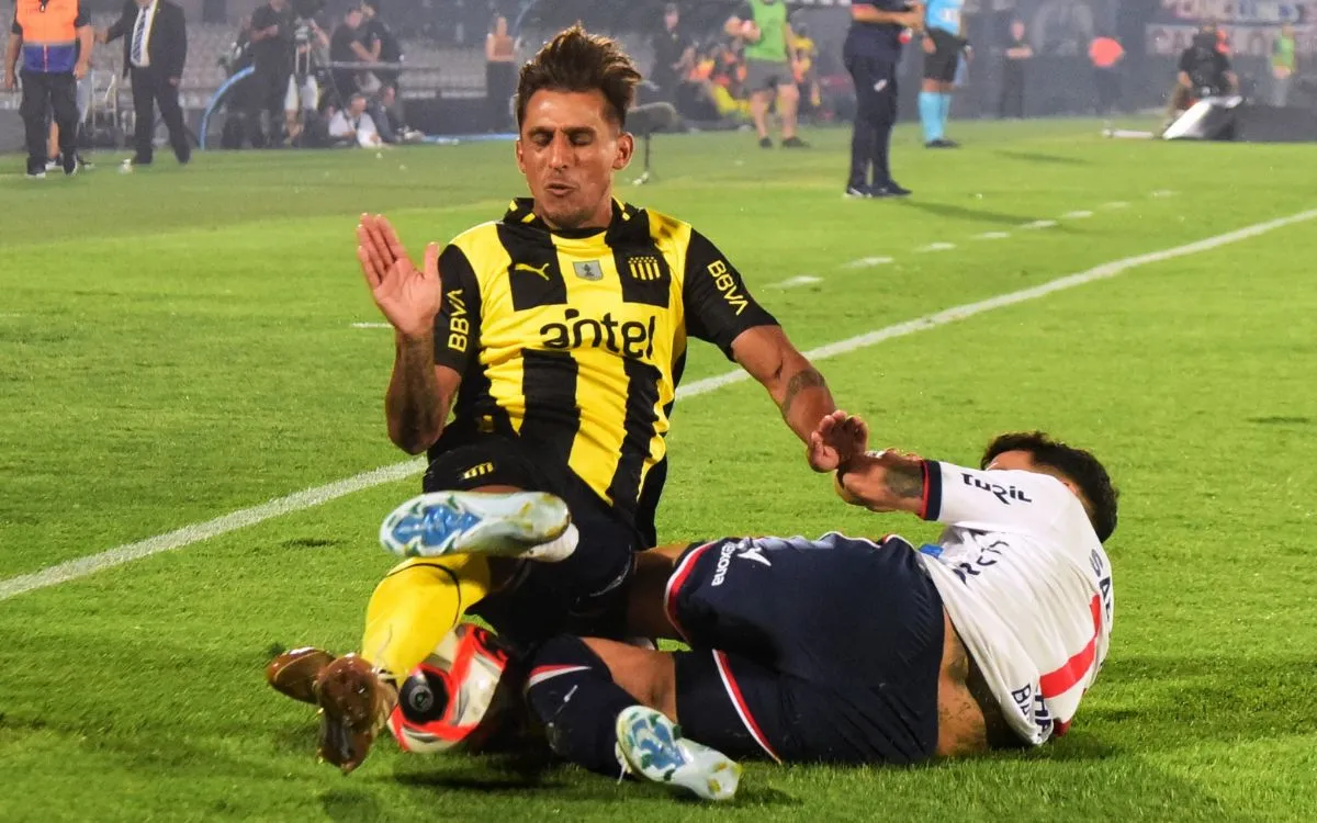 zorro suarez