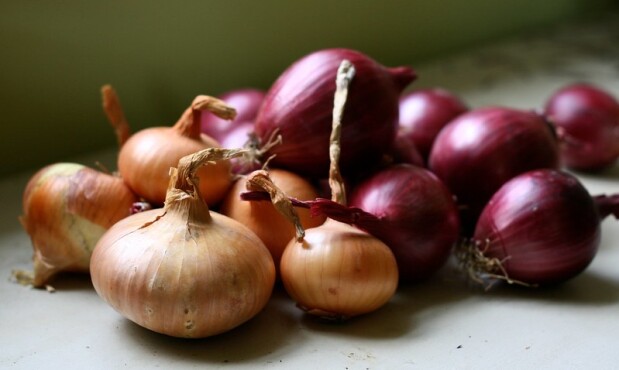 Cebollas.jpg