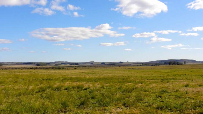 Campos en Uruguay.