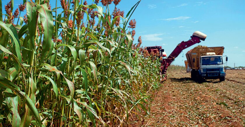 SORGO