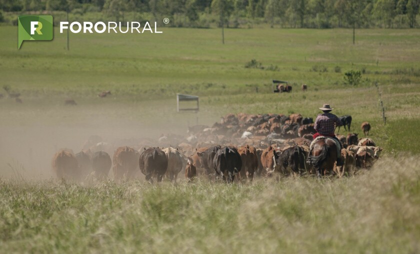 campo-foro-rural.jpg