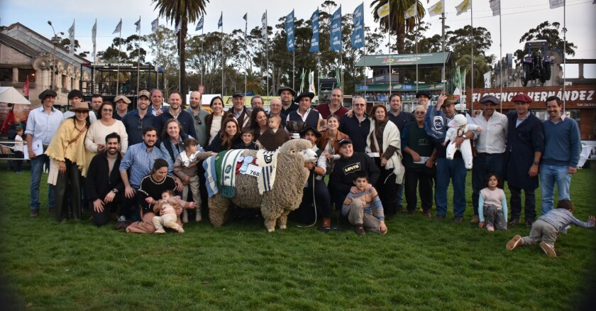 Gran Campeón PI de La Lucha