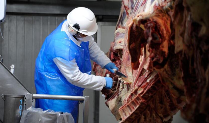 Frigorífico, carne vacuna