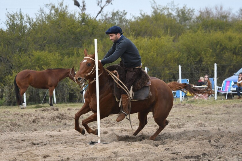 Cuarto de Milla junio.jpeg