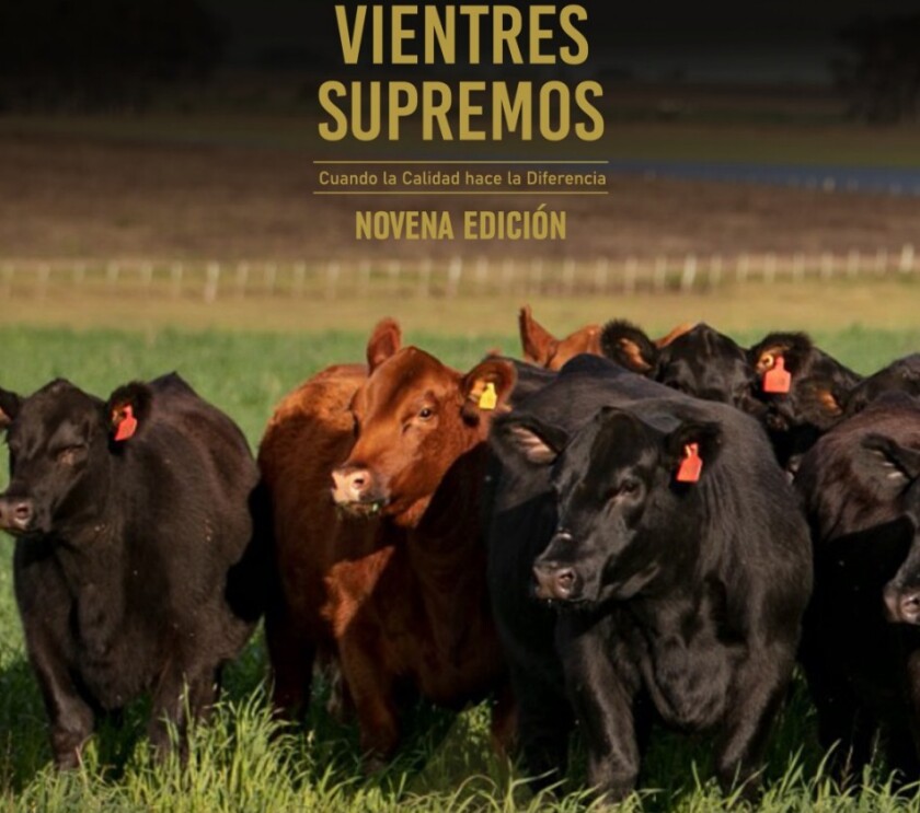 Vientres Supremos.jpg