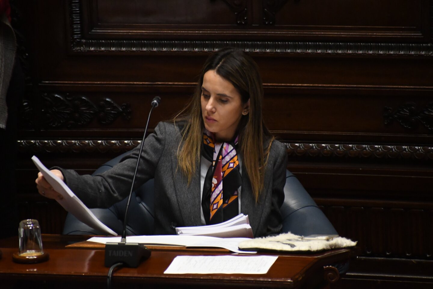 Camara de Senadores