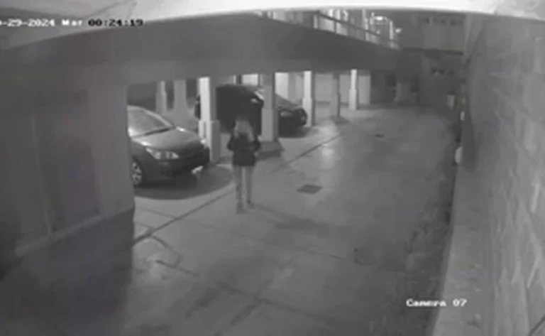 Cámaras de seguridad captaron el derrumbe del hotel de Villa Gesell