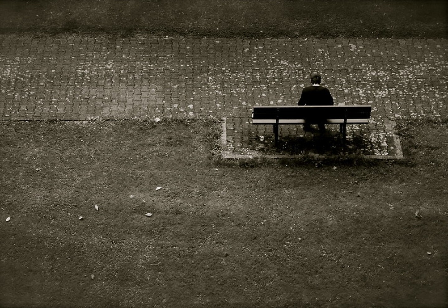 La soledad, un estado que no solo afecta a las emociones; también repercute sobre la salud del cerebro - EL PAÍS Uruguay