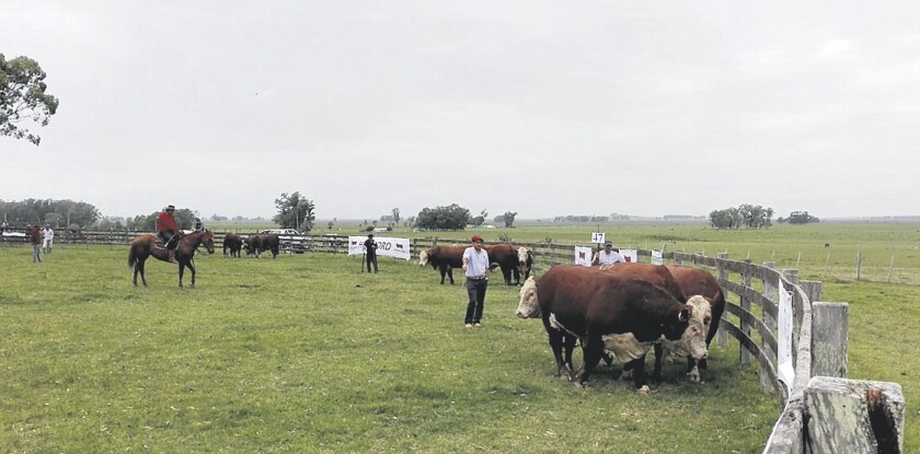 expo-lascano.jpg