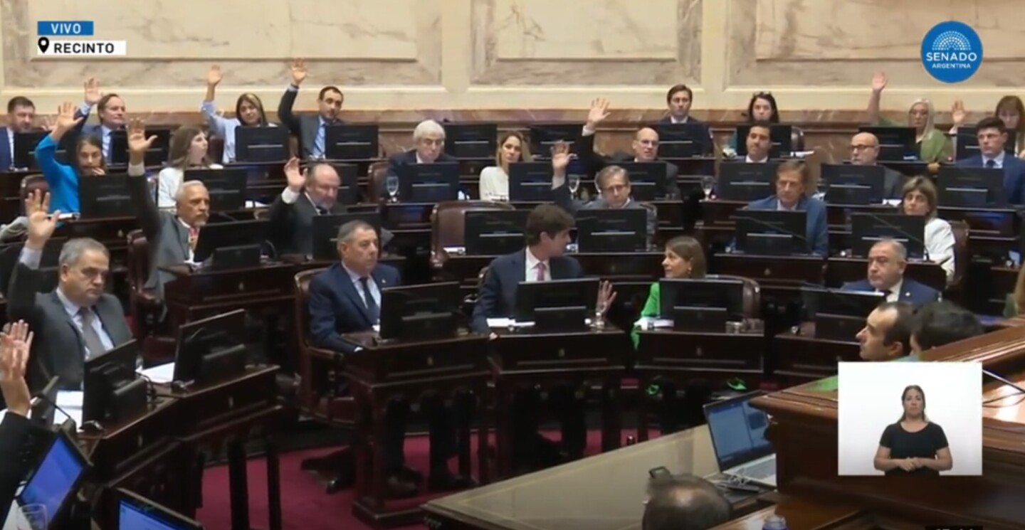 El momento de la votación en la Cámara de Senadores.