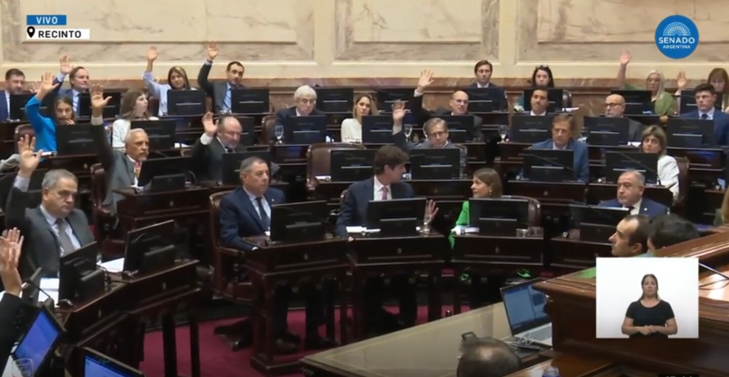 El momento de la votación en la Cámara de Senadores. 